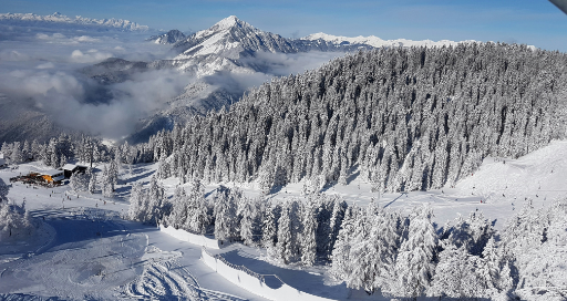 SK header image